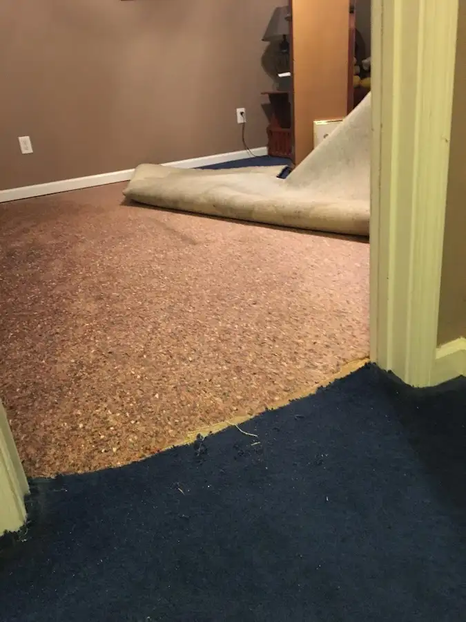 Carpet pad removal revealing water damage during Drying & Dehumidification in Crawfordville