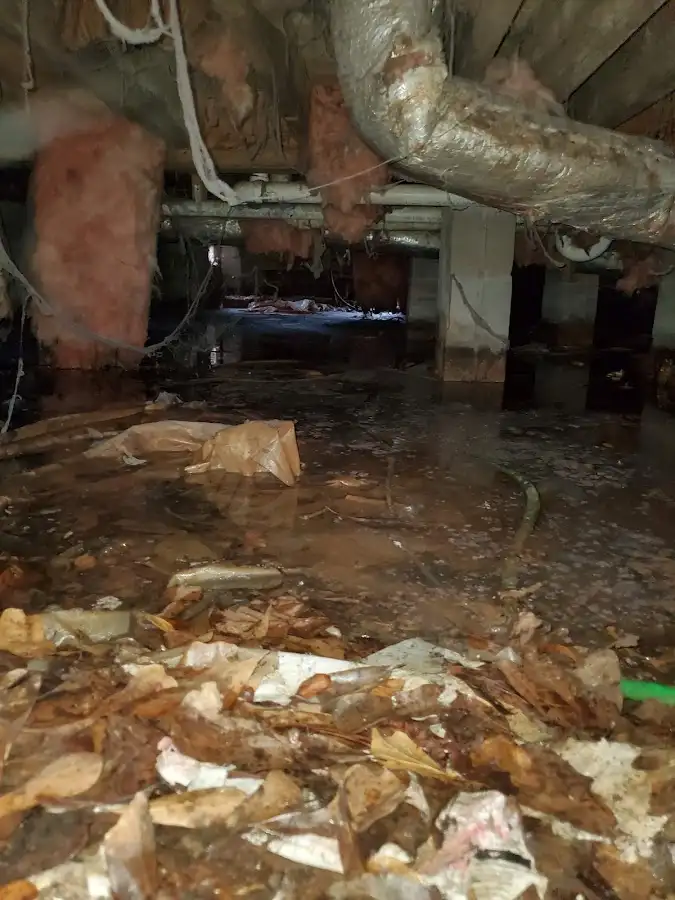 Crawl space flood assessment for Commercial Water Damage Restoration in Crawfordville