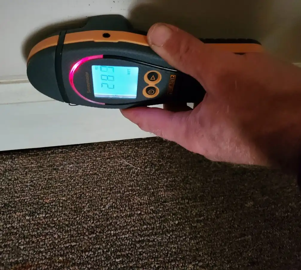 Moisture detection at baseboard during Mold Inspection & Testing in Crawfordville